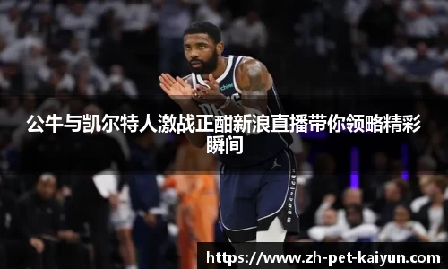 公牛与凯尔特人激战正酣新浪直播带你领略精彩瞬间