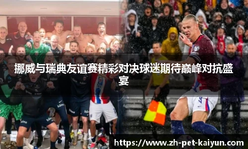 挪威与瑞典友谊赛精彩对决球迷期待巅峰对抗盛宴