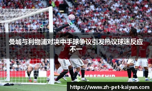 曼城与利物浦对决中手球争议引发热议球迷反应不一