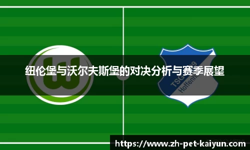 纽伦堡与沃尔夫斯堡的对决分析与赛季展望