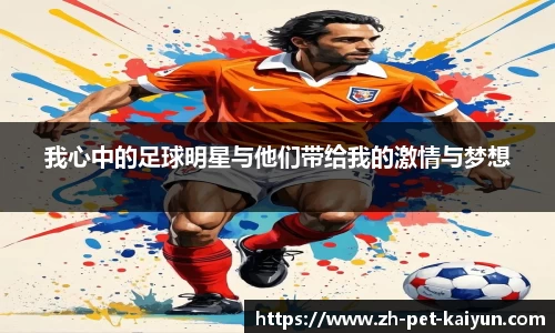我心中的足球明星与他们带给我的激情与梦想