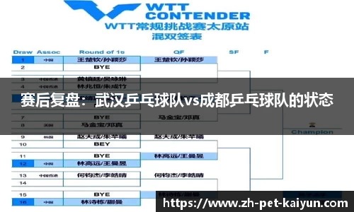赛后复盘：武汉乒乓球队vs成都乒乓球队的状态