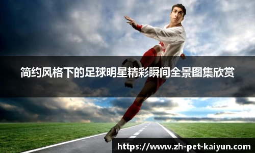 简约风格下的足球明星精彩瞬间全景图集欣赏